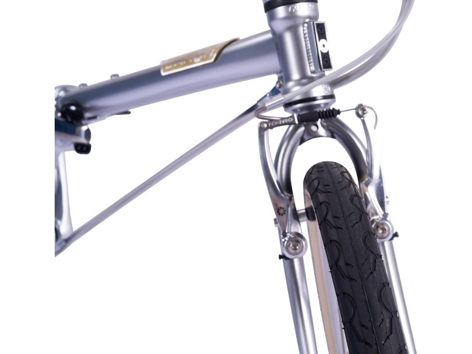 DAHON 20" BOARDWALK D8 KROM
