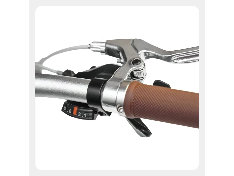 DAHON 20" BOARDWALK D8 SARI