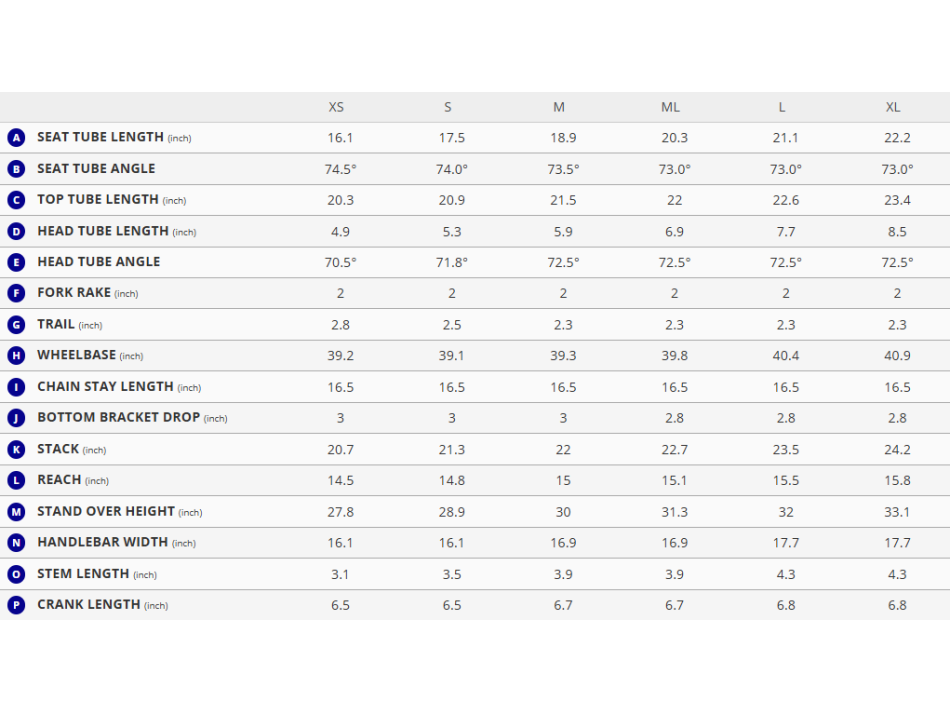 GIANT DEFY ADV 2 L SPRUCE