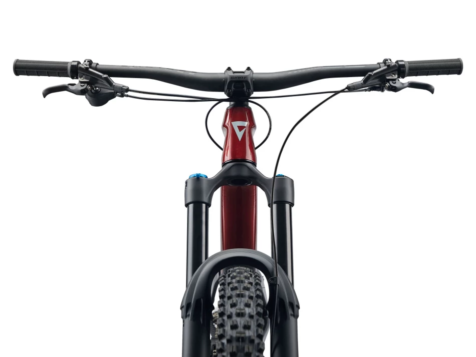GIANT REIGN ADV 2 S SANGRIA/CARBON 12V
