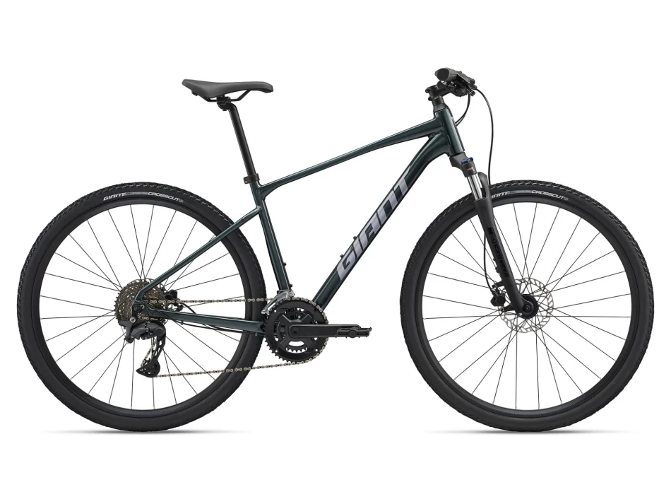 GIANT ROAM 2 XL ASPHALT GREEN