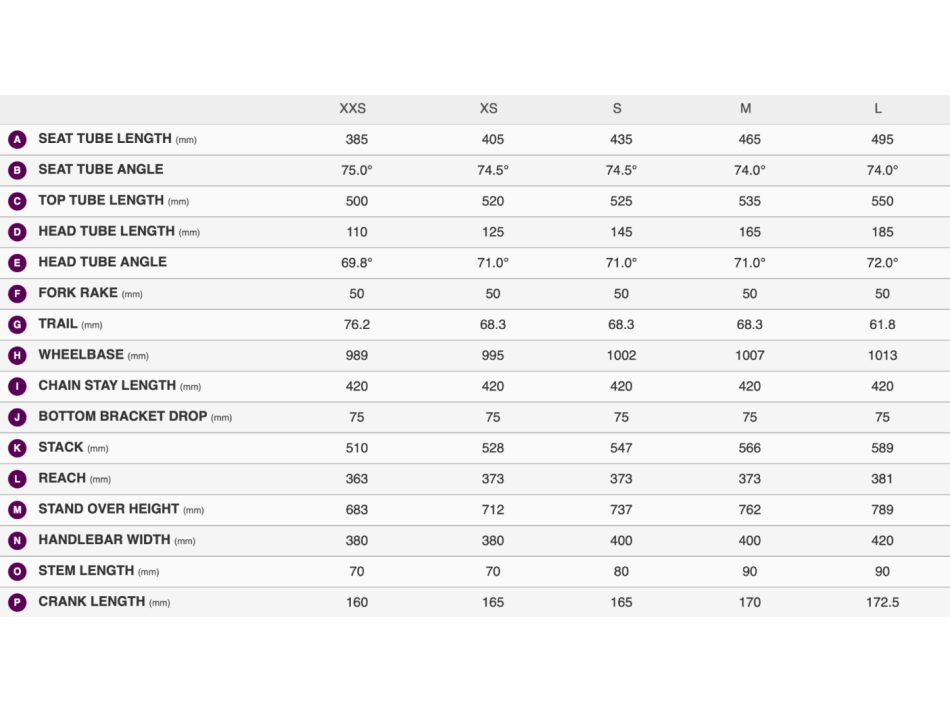 LIV AVAIL ADV 1 S IRON ROUGE/CARBON