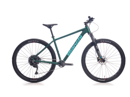 BIANCHI ALU MAGMA COMP 9.1 43H CUES 1X10 GREEN MAT