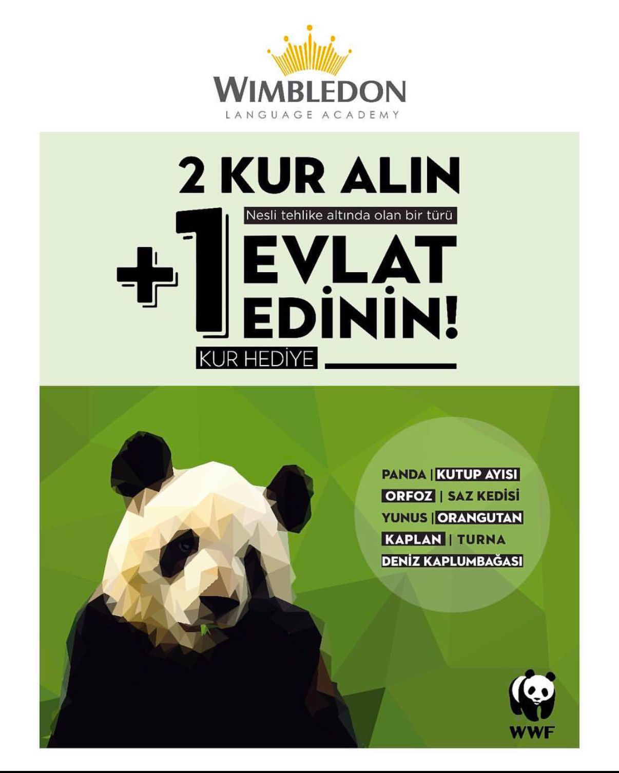 WWF ile Panda Evlat Edinme Kampanyası